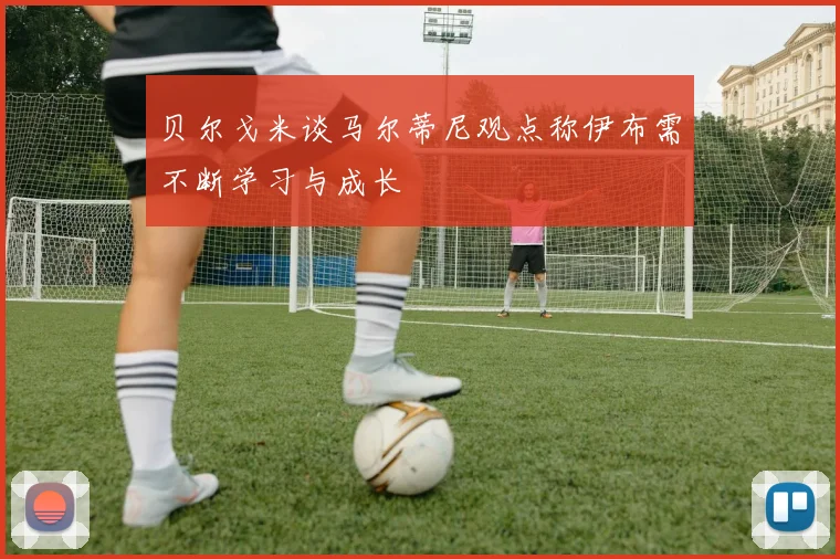 贝尔戈米谈马尔蒂尼观点称伊布需不断学习与成长