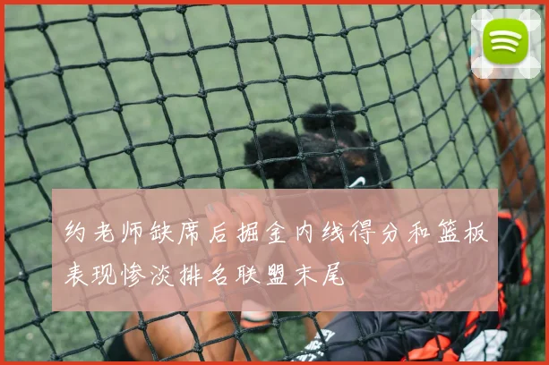 约老师缺席后掘金内线得分和篮板表现惨淡排名联盟末尾