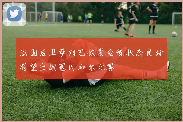 法国后卫萨利巴恢复合练状态良好有望出战塞内加尔比赛